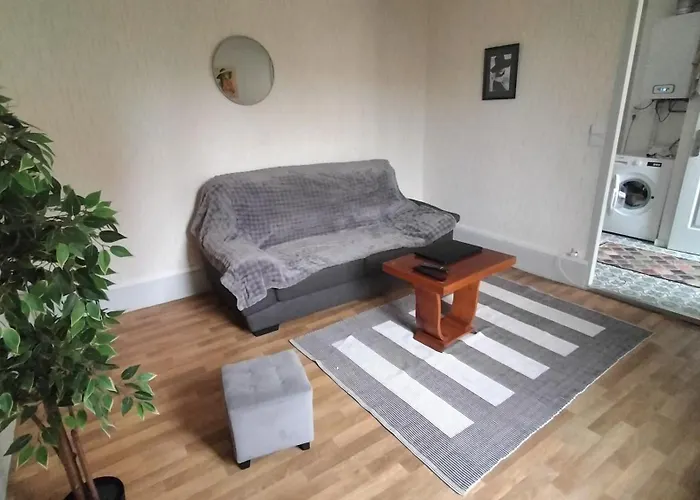 L'Oasis Centre Ville Дижон